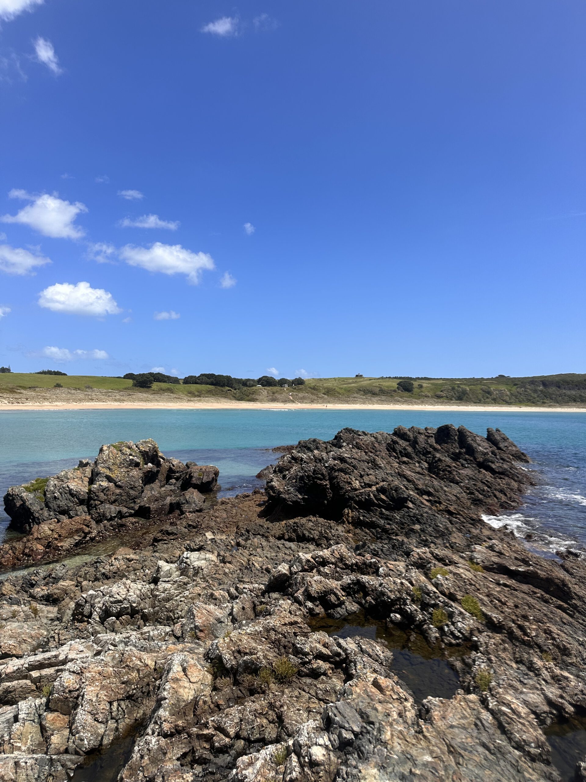 Mai Tai Bay on the North Island of New Zealand