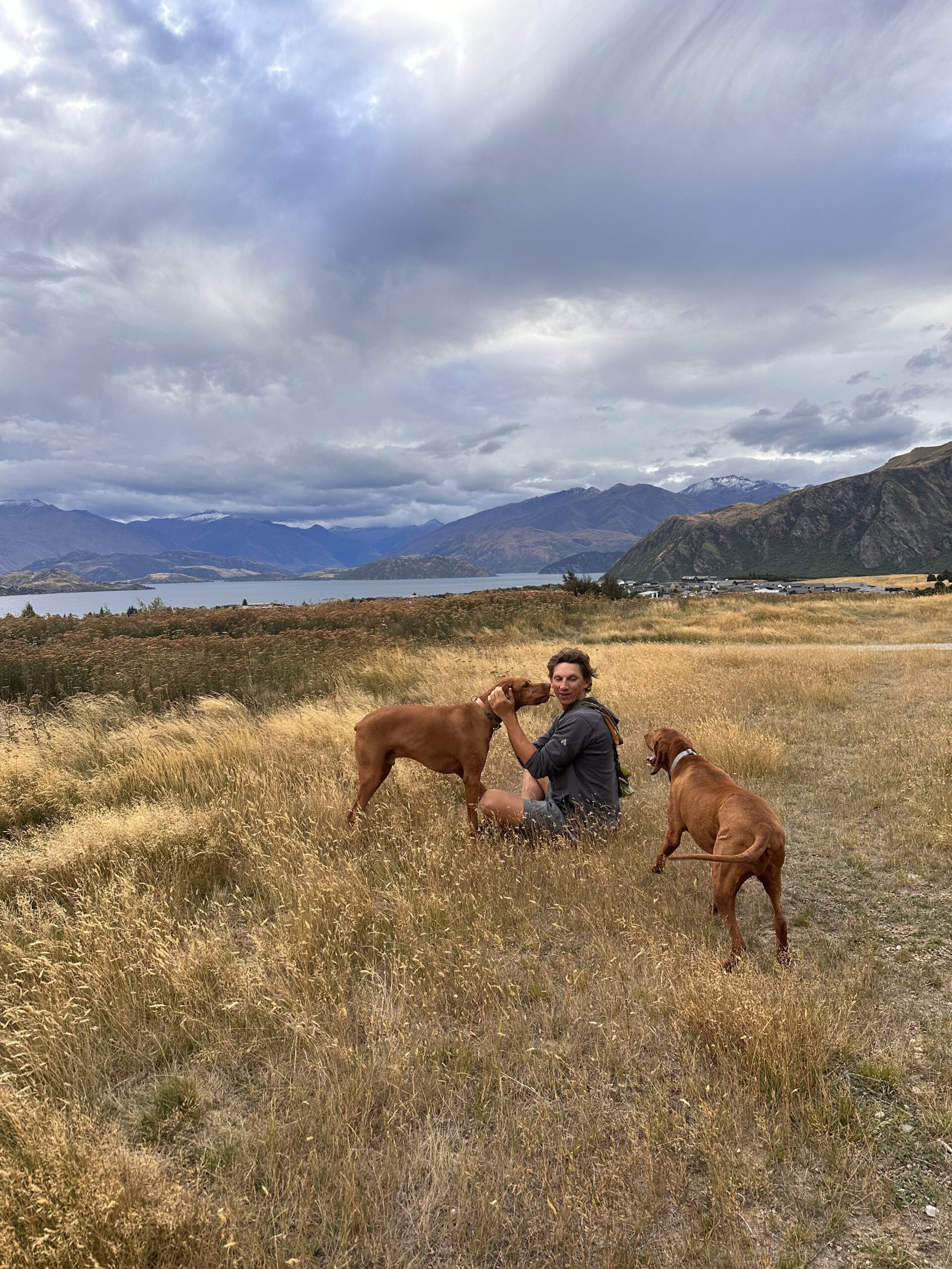 On a house sit in Wanaka on the South Island of New Zealand