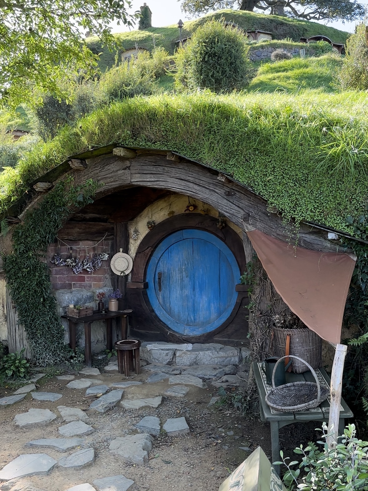 A blue hobbit hole on the set of Hobbiton in New Zealand