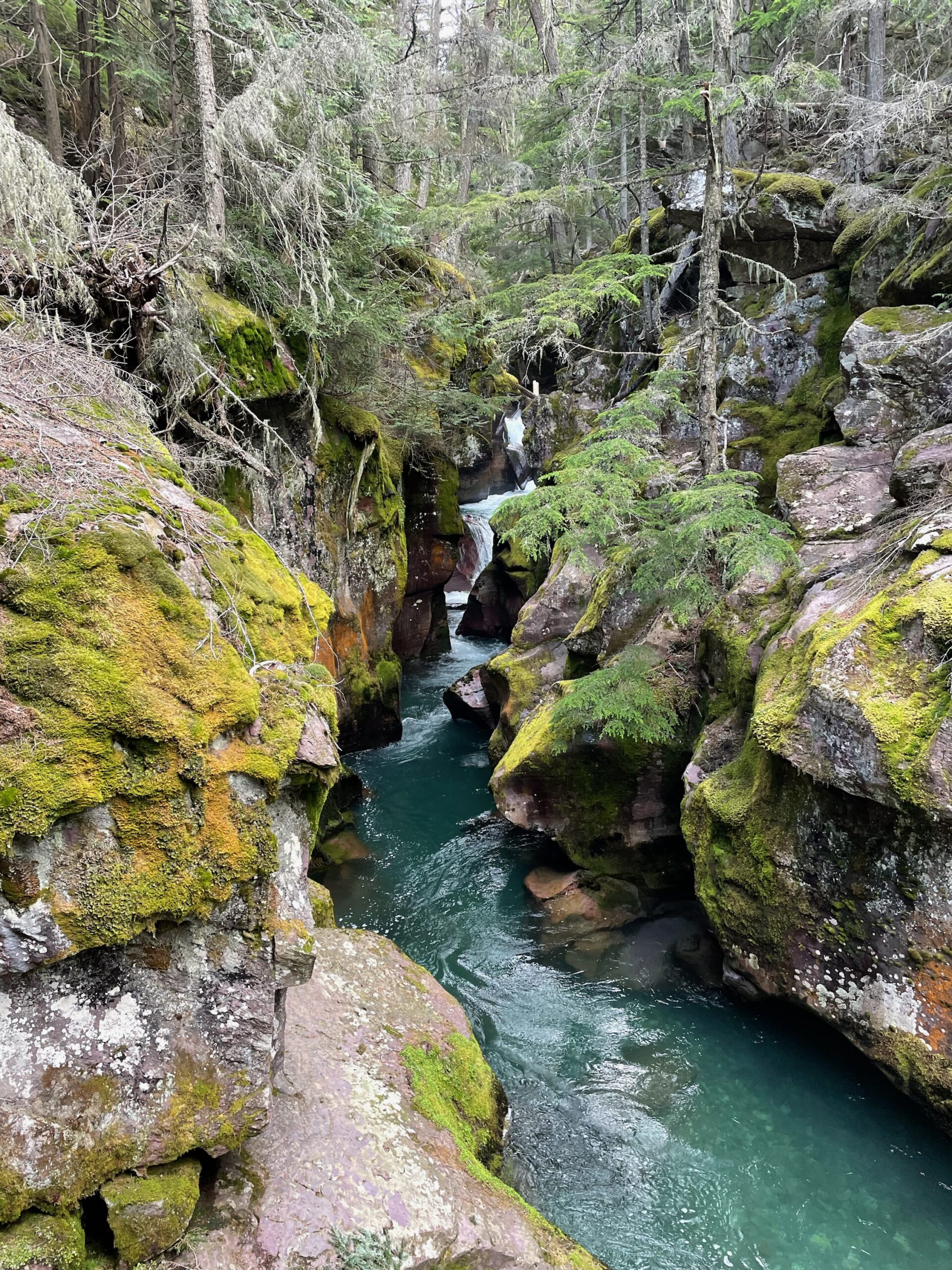 Blue gorge cut by running water on Trail of the Cedars