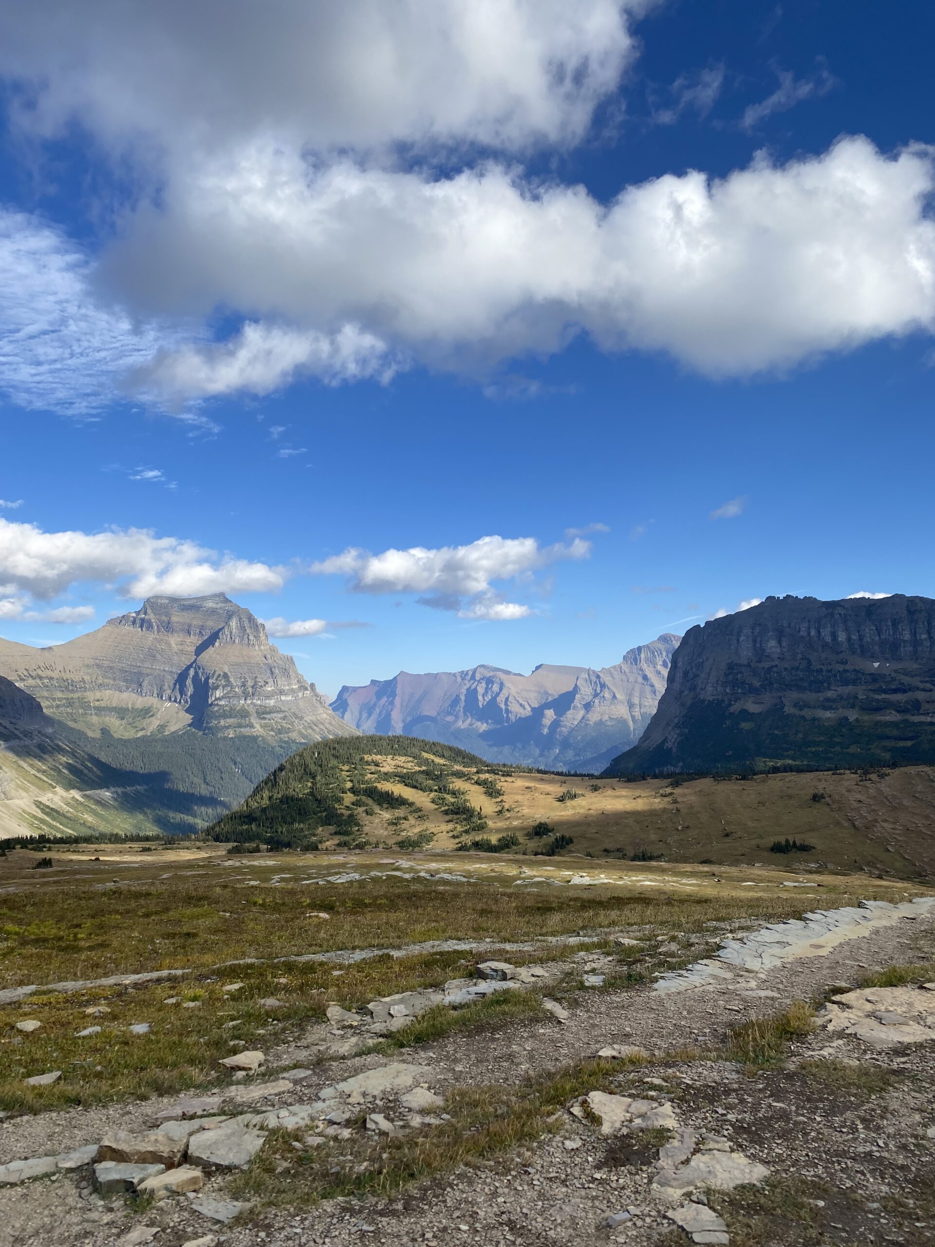 Looking over a meadow on the Hidden Lake Trail in Glacier National Park 