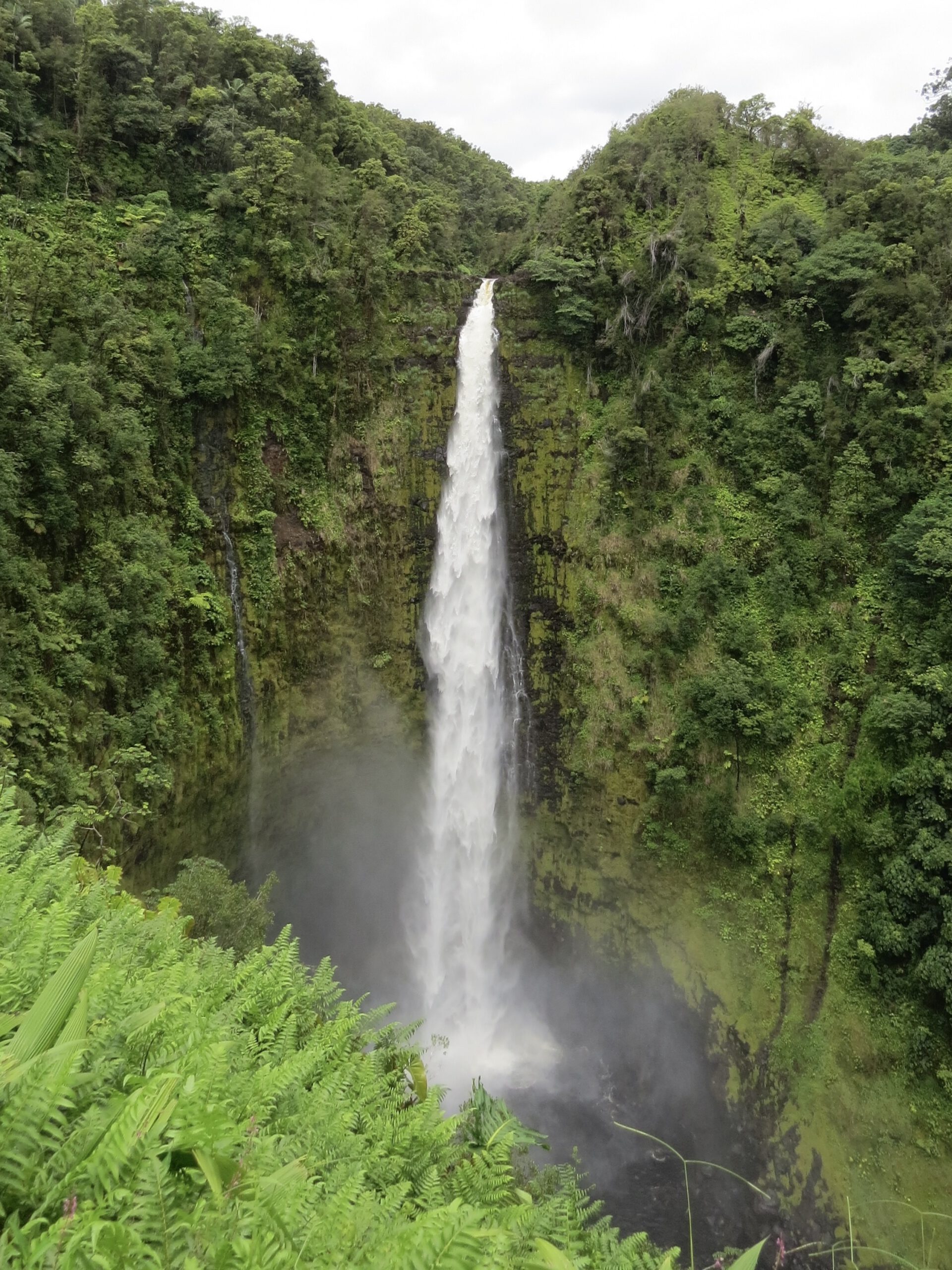 Akaka Falls waterfall in Akaka Falls State Park on the Big Island of Hawaii 
