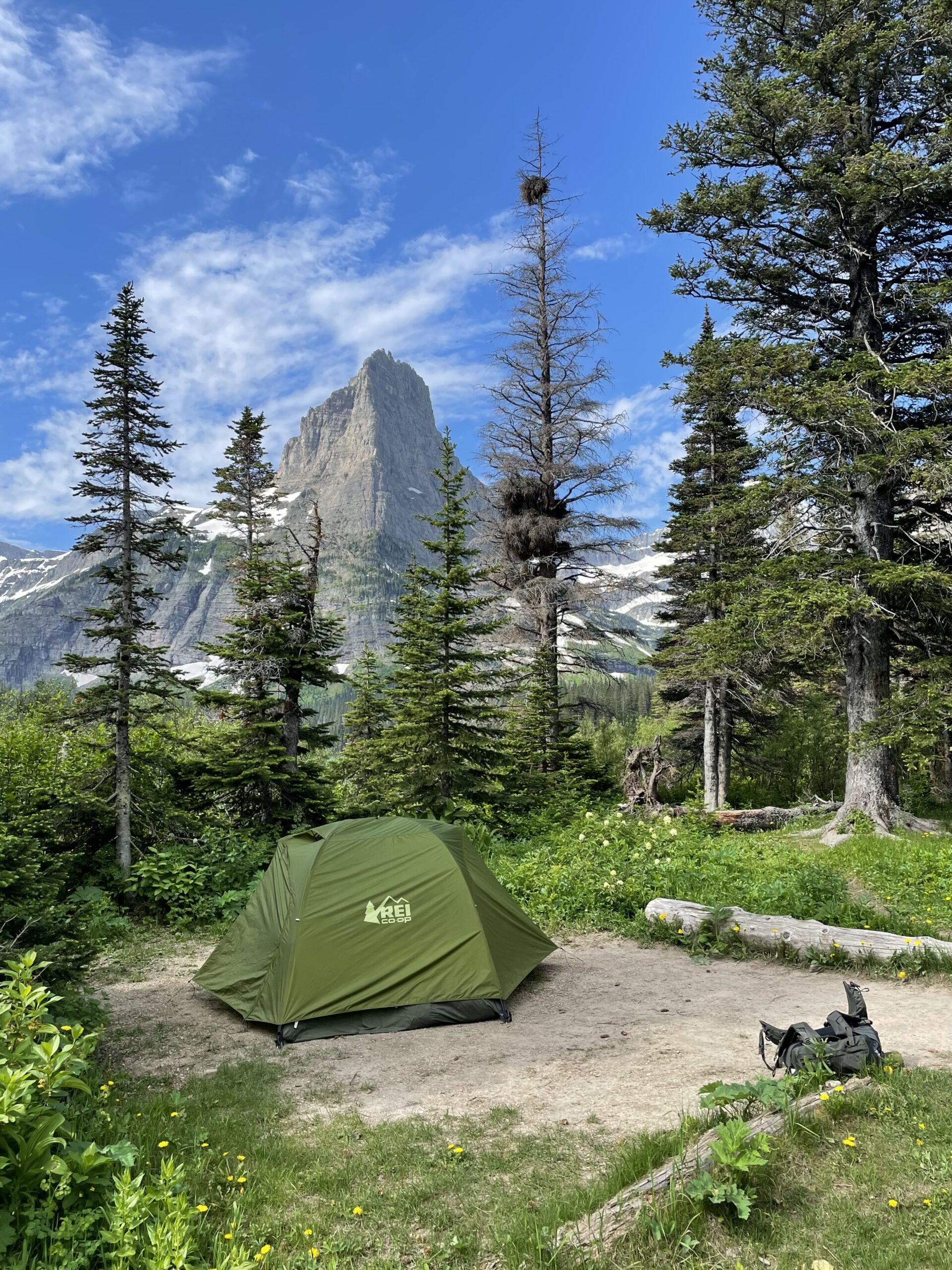 REI tent in back country campground