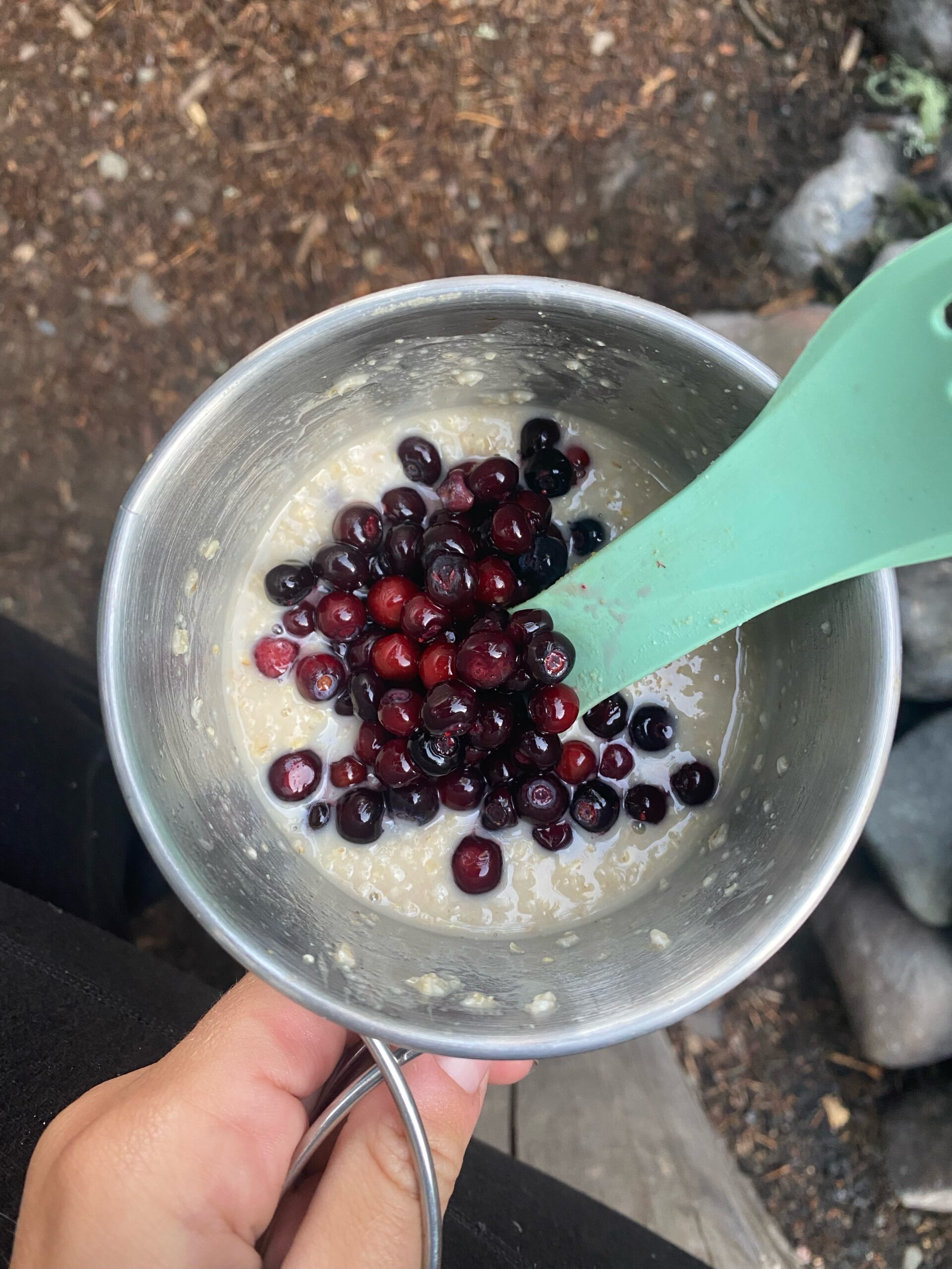 huckleberries and oatmeal on a backpacking trip in Montana